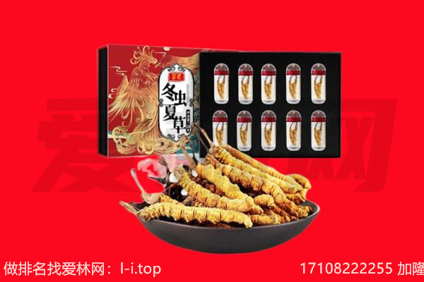 玉树市称多县回收虫草.jpg